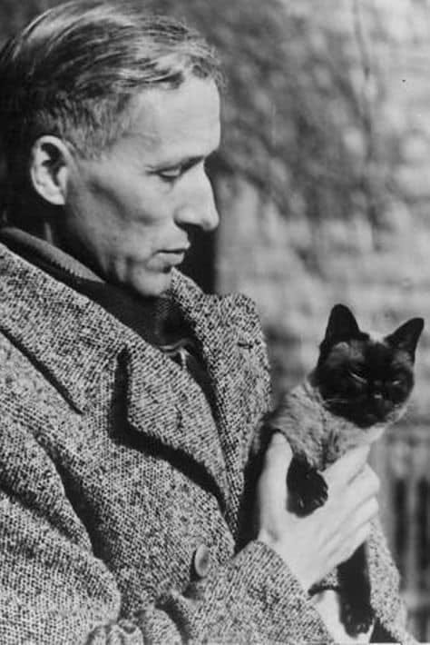 Ernst Jünger on Islam